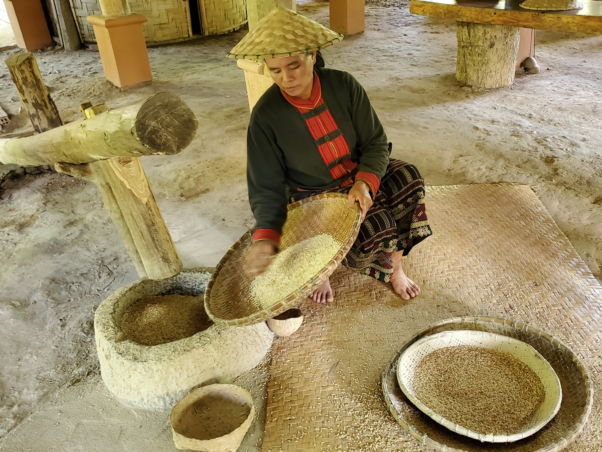 280 Laotian Rice Farm