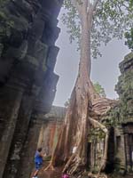 164 Angkor Thom