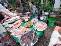 223 Luang Prabang Market