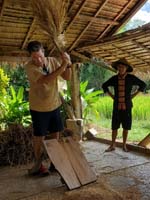 274 Laotian Rice Farm