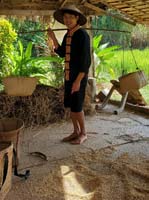 277 Laotian Rice Farm