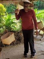 279 Laotian Rice Farm