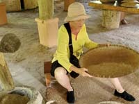 281 Laotian Rice Farm