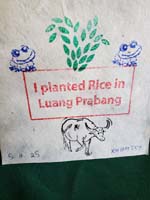 283 Laotian Rice Farm