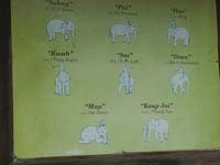 286 Elephant Village