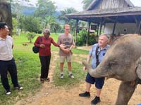 295 Elephant Village