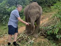 297 Elephant Village