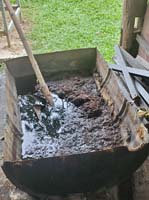 298 Elephant Village