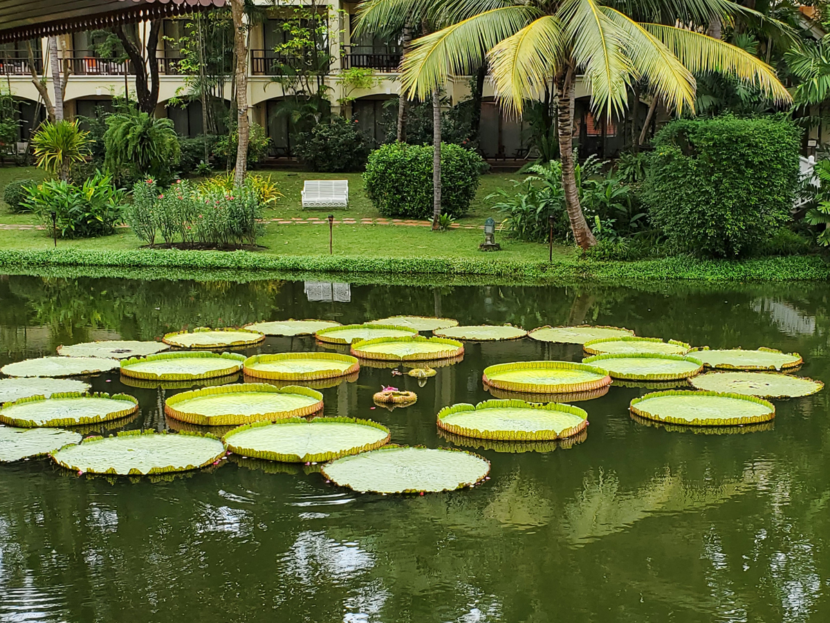 216 Sofitel Anghor Phokeethra