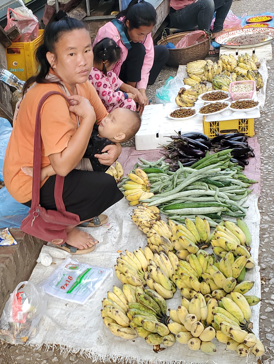 232 Luang Prabang Market