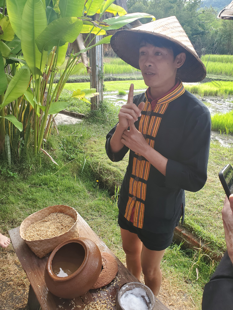 264 Laotian Rice Farm