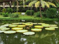 216 Sofitel Anghor Phokeethra