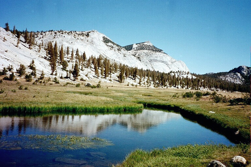 0030 Lyell Fork 07348_12