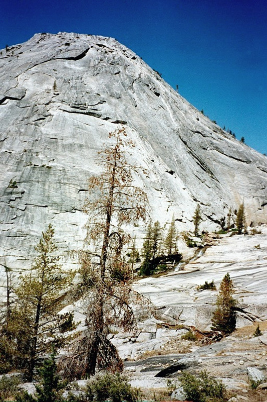 0040 Along Fletcher Crk 07348_13