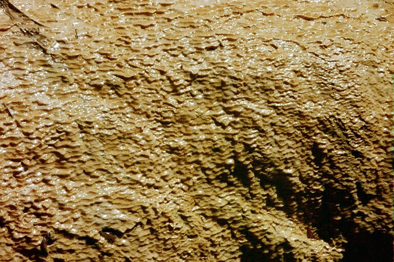 0090 Yellow Rock near Washburn Lk 07348_19