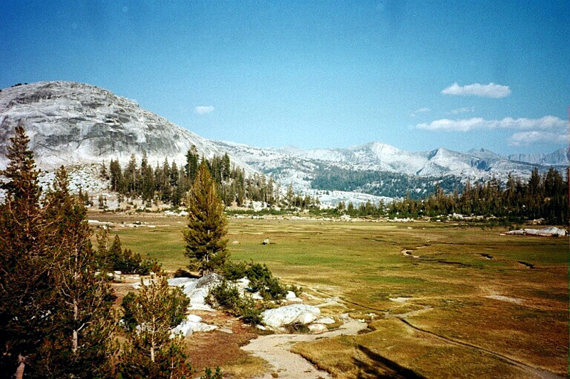 0110 Long Meadow from Sunrise Camp 07348_22