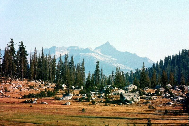 0120 Long Meadow from Sunrise Camp 07348_23