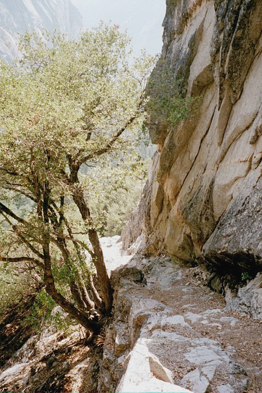 0220 Snow Crk Trail starting down 07630_17