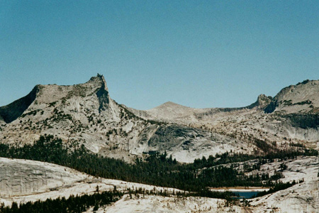 24 Poly Dome 16044_24