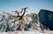 08 on N Dome 16044_06