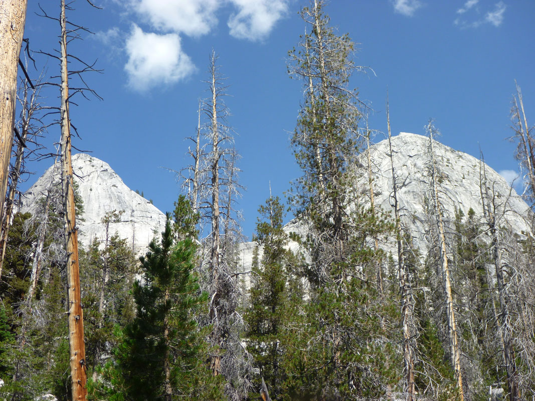 10 The Mansfields P1000049