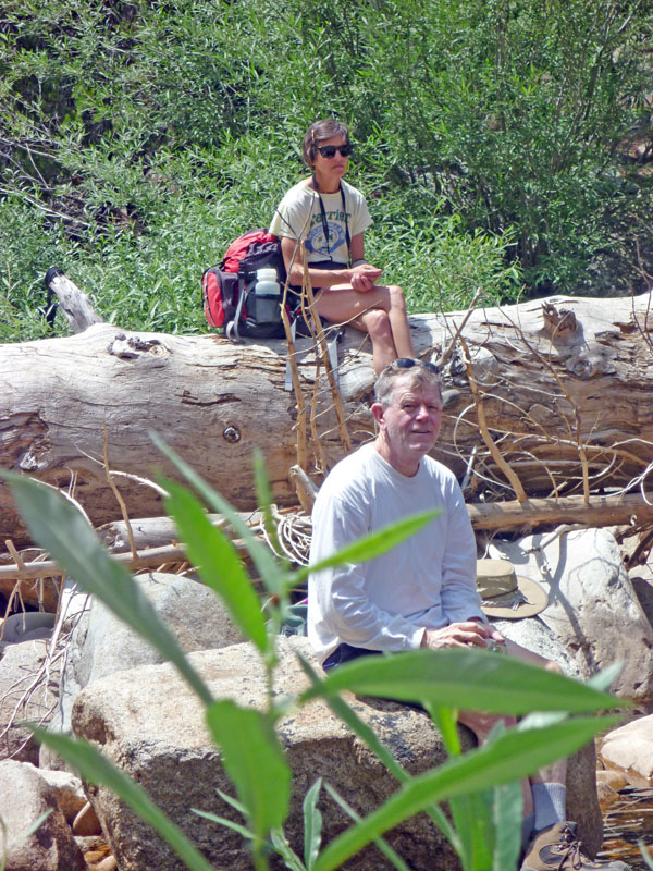 23 Fern Grotto P1000081