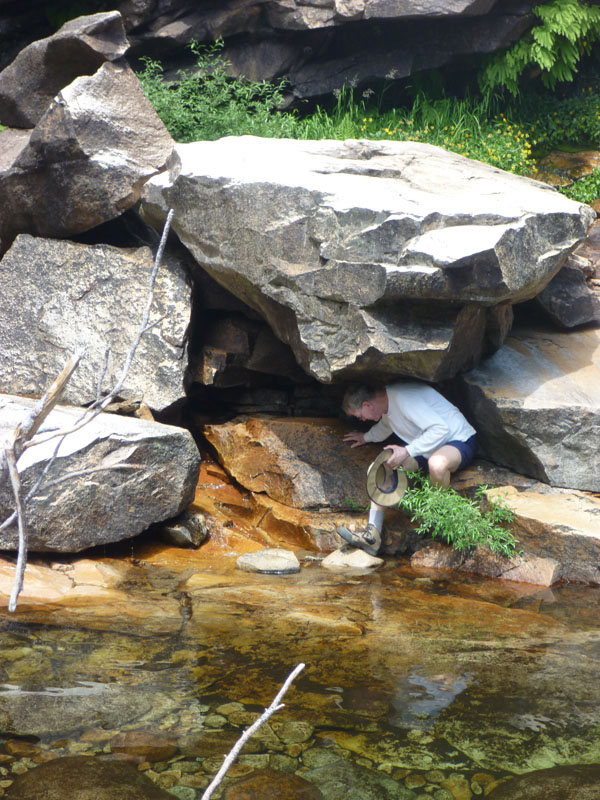 24 Fern Grotto P1000094