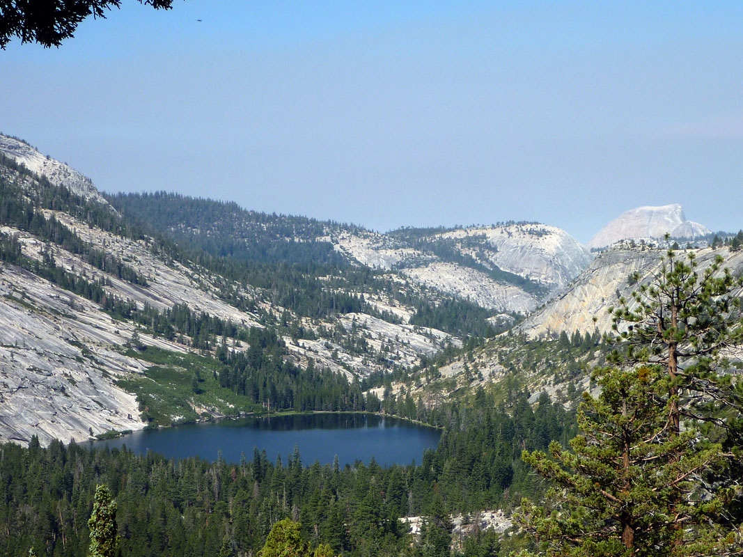 27 Merced Lake Half Dome P1000106a