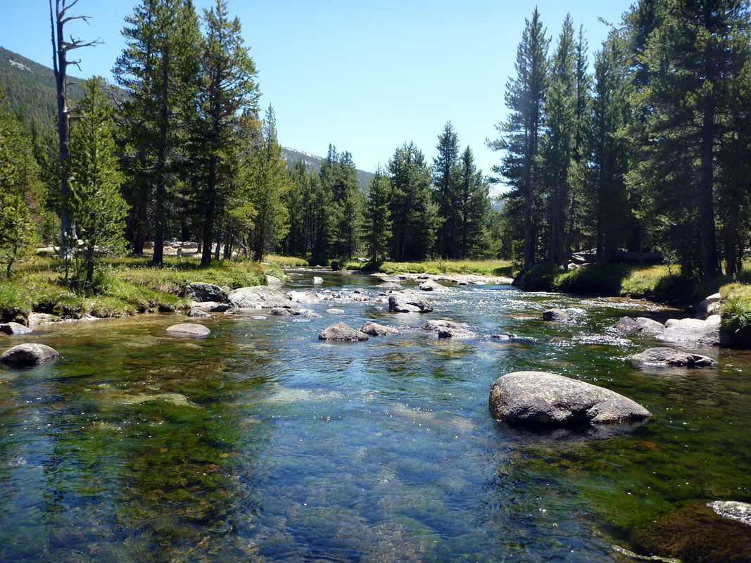 40 Tuolumne River Lunch Spot P1000137a