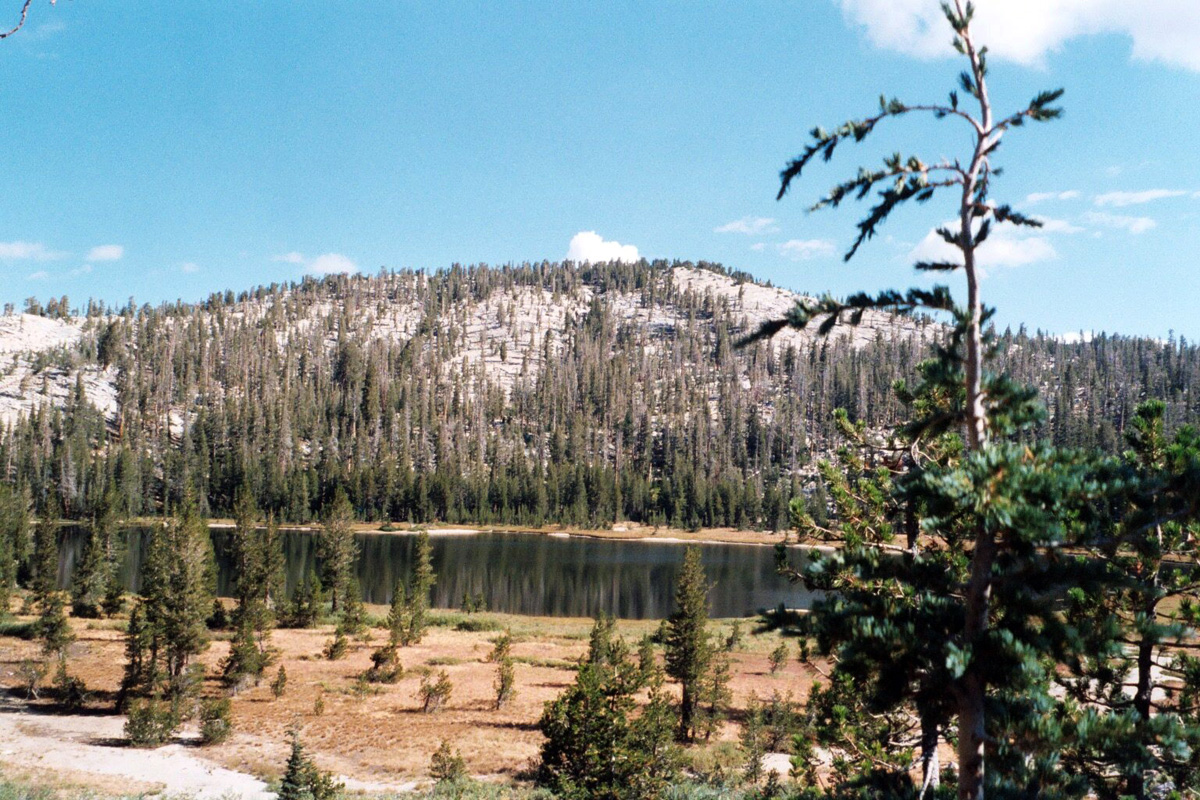 06 Merced Lake 336801347503a