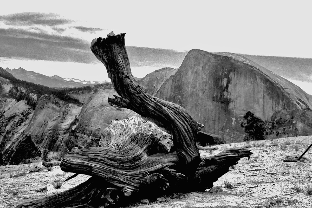 04Half Dome from N Dome BWa