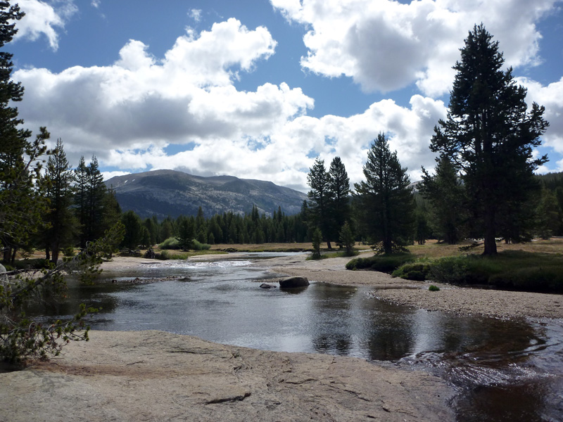 01 Traditional 1st Picture P1000665a