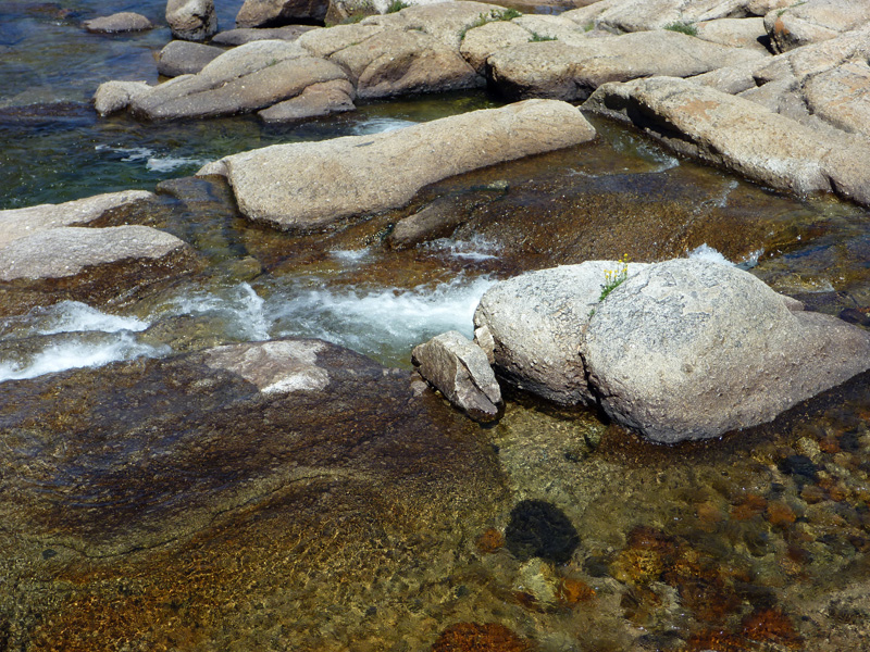 03 Tuolumne River P1000778a