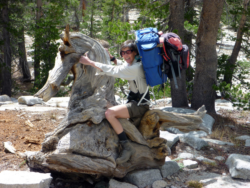 30 Lori and the Sea Horse Log P1000866